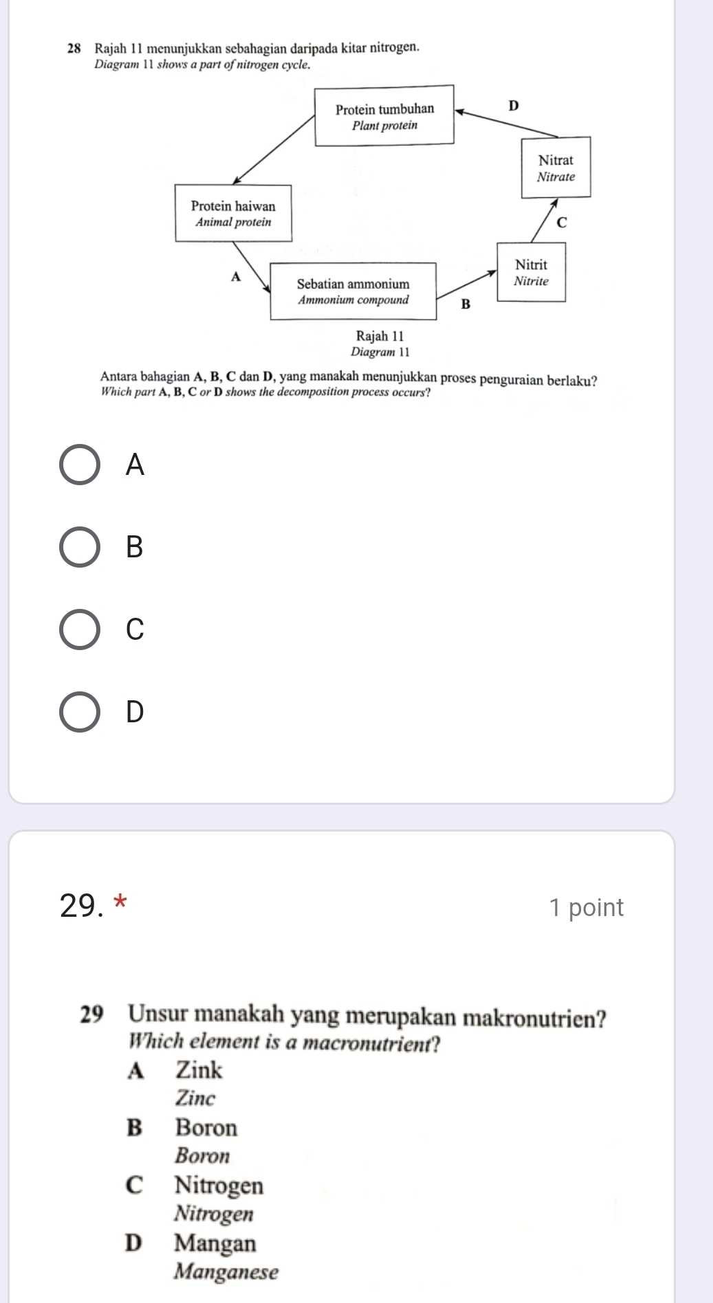 Rajah 11 menunjukkan sebahagian daripada kitar nitrogen.
Diagram 11 shows a part of nitrogen cycle.
Antara bahagian A, B, C dan D, yang manakah menunjukkan proses penguraian berlaku?
Which part A, B, C or D shows the decomposition process occurs?
A
B
C
D
29. * 1 point
29 Unsur manakah yang merupakan makronutrien?
Which element is a macronutrient?
A Zink
Zinc
B Boron
Boron
C Nitrogen
Nitrogen
D Mangan
Manganese