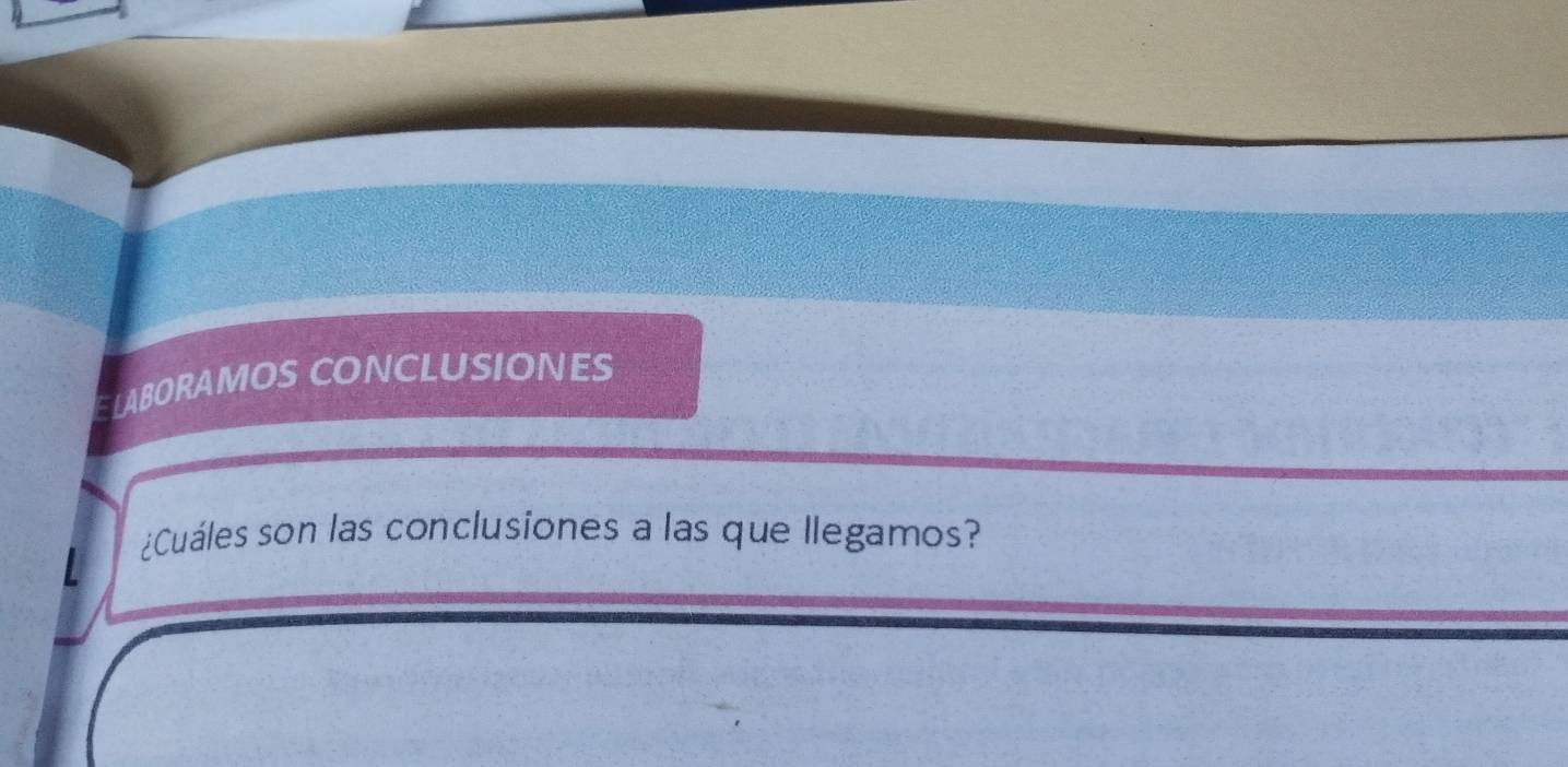 LABORAMOS CONCLUSIONES 
¿Cuáles son las conclusiones a las que llegamos?