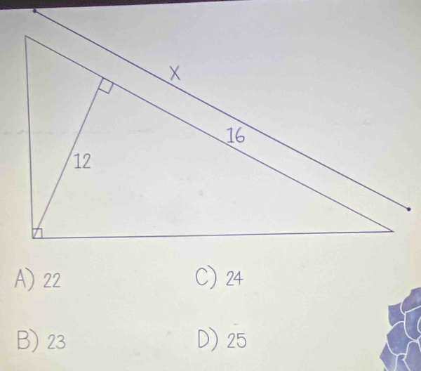 A) 22 C) 24
B) 23 D) 25