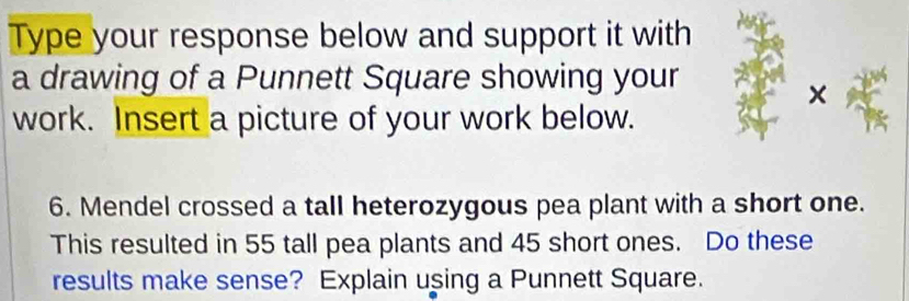 Type your response below and support it with 
a drawing of a Punnett Square showing your 
× 
work. Insert a picture of your work below. 
6. Mendel crossed a tall heterozygous pea plant with a short one. 
This resulted in 55 tall pea plants and 45 short ones. Do these 
results make sense? Explain using a Punnett Square.