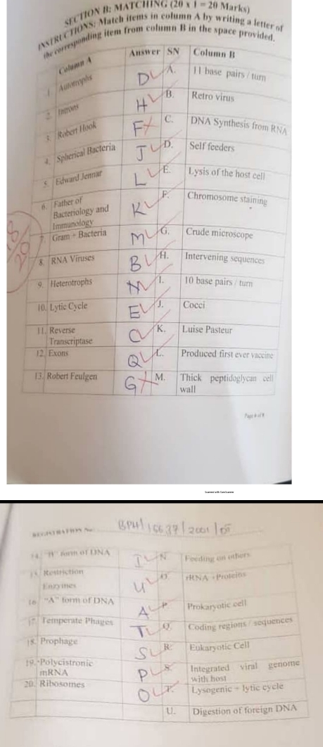 MATCHING (20 x I=20 Marks)
IONS: Match items in column A by writing a letter of
from column B in the spa
Pac #=í #
“B ~