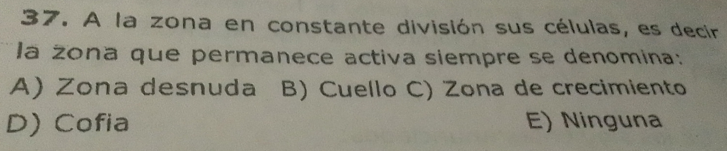 A la zona en constante división sus células, es decir
la zona que permanece activa siempre se denomina:
A) Zona desnuda B) Cuello C) Zona de crecimiento
D) Cofia E) Ninguna