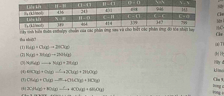 Hay
Câu
liên
H₃C-
Hãy tính biến thiên enthalpy  Câu
thu nhiệt?
(1) H_2(g)+Cl_2(g)to 2HCl(g) (a) Tí
(2) N_2(g)+3H_2(g)to 2NH_3(g) (b) Hy
(3) N_2H_4(g)to N_2(g)+2H_2(g) Hãy đ
(4) 4HCl(g)+O_2(g)to 2Cl_2(g)+2H_2O(g) kJ/mo
(5) CH_4(g)+Cl_2(g)to CH_3Cl(g)+HCl(g)
Câu 9.
(6) 2C_2H_6(g)+8O_2(g)to 4^*4CO_2(g)+6H_2O(g)
trong c
trong c