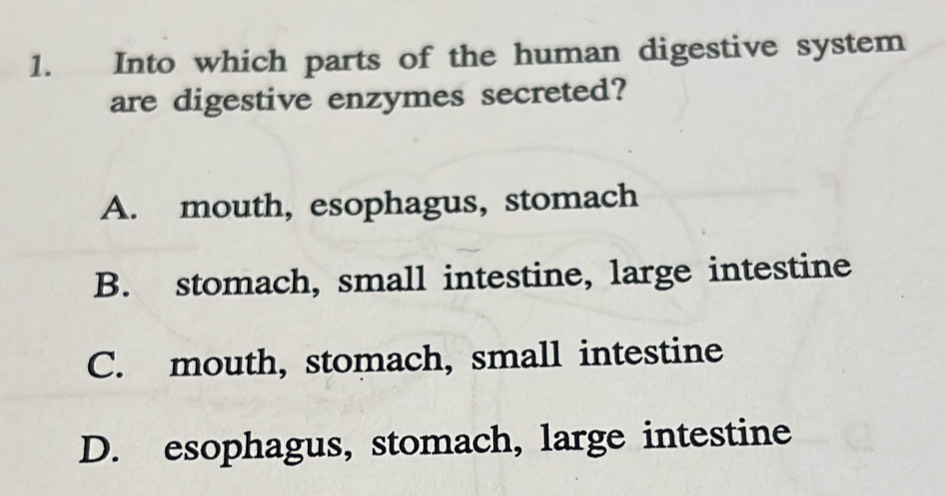 Into which parts of the human digestive system
are digestive enzymes secreted?
A. mouth, esophagus, stomach
B. stomach, small intestine, large intestine
C. mouth, stomach, small intestine
D. esophagus, stomach, large intestine