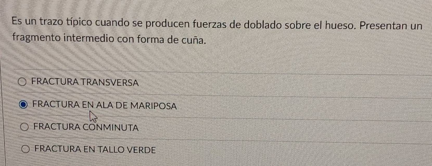 Es un trazo típico cuando se producen fuerzas de doblado sobre el hueso. Presentan un
fragmento intermedio con forma de cuña.
FRACTURA TRANSVERSA
FRACTURA EN ALA DE MARIPOSA
FRACTURA CONMINUTA
FRACTURA EN TALLO VERDE