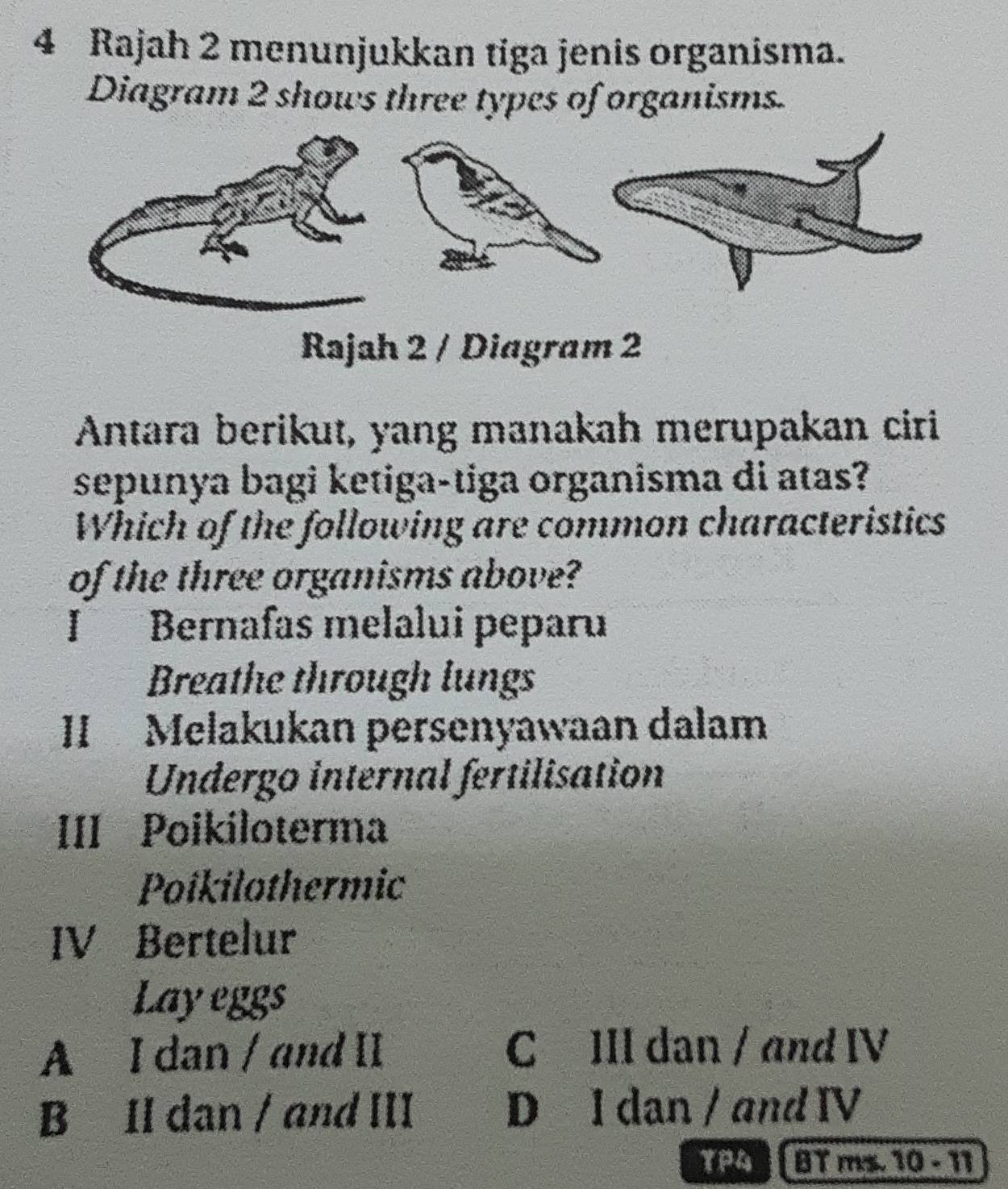 Rajah 2 menunjukkan tiga jenis organisma.
Diagram 2 shows three types of organisms.
Rajah 2 / Diagram 2
Antara berikut, yang manakah merupakan ciri
sepunya bagi ketiga-tiga organisma di atas?
Which of the following are common characteristics
of the three organisms above?
I Bernafas melalui peparu
Breathe through lungs
II Melakukan persenyawaan dalam
Undergo internal fertilisation
III Poikíloterma
Poikilothermic
IV Bertelur
Lay eggs
A I dan / and II C III dan / and IV
B II dan / and III D I dan / and IV
TP4 BT ms. 10 - 11