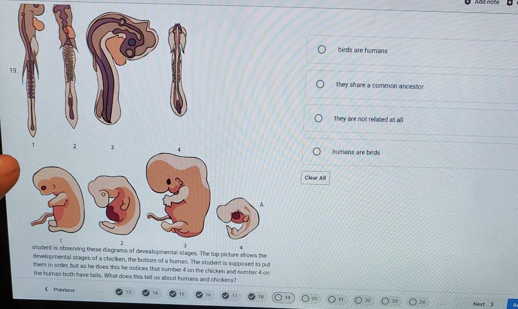 Add note
birds are humans
19.
they share a common ancestor
they are not related at all
humans are birds
Clear All
3
4
student is observing these diagrams of devealopmental stages. The top picture shows the
developmental stages of a chiclken, the bottom of a human. The student is supposed to put
them in order, but as he does this he notices that number 4 on the chicken and number 4 on
the human both have tails. What does this tell us about humans and chickens?
《 Previous 13 17 18 19 21 22 23 24
Next ) R