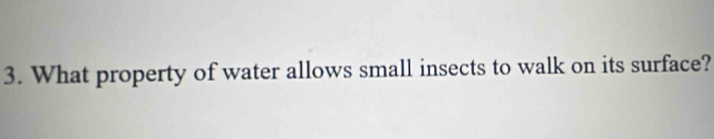What property of water allows small insects to walk on its surface?