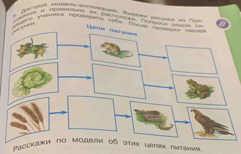 Дострой модель-алллиκациюо. Вырежи рисунки из Πри 
ложения и правильно их расΠоложи. Полрос 
шего ученика πровериτь τебя. П 
. 
Pаπитания.