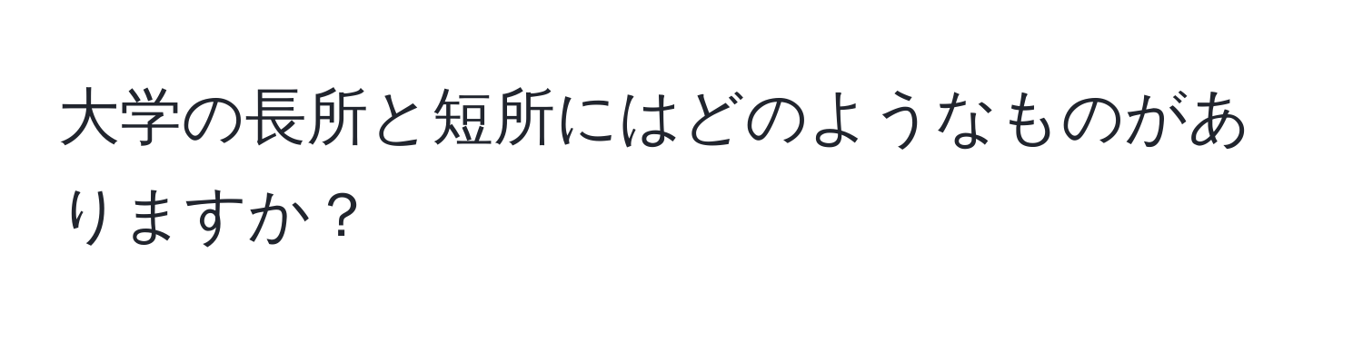 大学の長所と短所にはどのようなものがありますか？