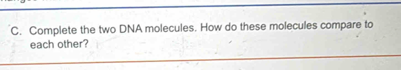 Complete the two DNA molecules. How do these molecules compare to 
each other?