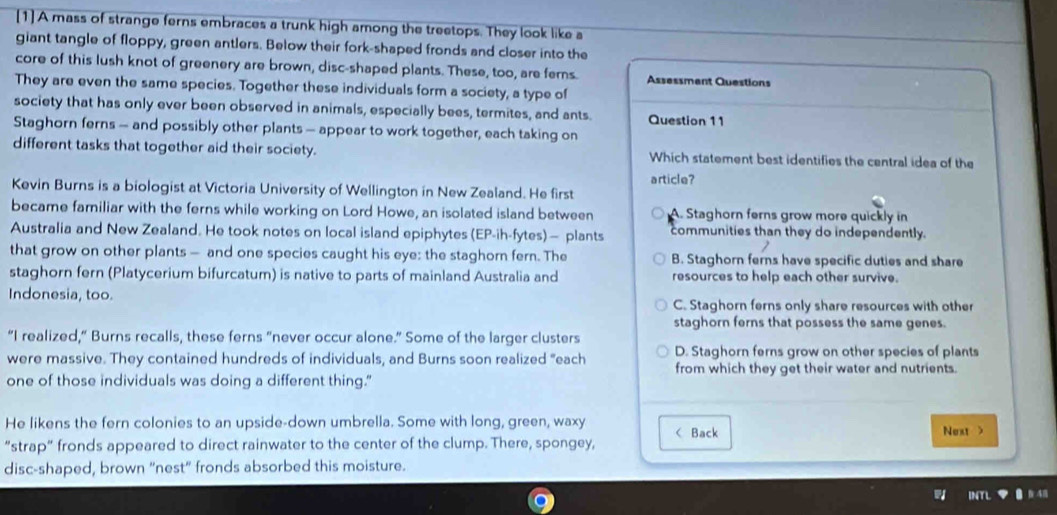 [1] A mass of strange ferns embraces a trunk high among the treetops. They look like a
giant tangle of floppy, green antlers. Below their fork-shaped fronds and closer into the
core of this lush knot of greenery are brown, disc-shaped plants. These, too, are fems. Assessment Questions
They are even the same species. Together these individuals form a society, a type of
society that has only ever been observed in animals, especially bees, termites, and ants Question 11
Staghorn ferns - and possibly other plants - appear to work together, each taking on
different tasks that together aid their society. Which statement best identifies the central idea of the
article?
Kevin Burns is a biologist at Victoria University of Wellington in New Zealand. He first
became familiar with the ferns while working on Lord Howe, an isolated island between A. Staghorn ferns grow more quickly in
Australia and New Zealand. He took notes on local island epiphytes (EP-ih-fytes)— plants communities than they do independently.
that grow on other plants — and one species caught his eye: the staghorn fern. The B. Staghorn ferns have specific duties and share
staghorn fern (Platycerium bifurcatum) is native to parts of mainland Australia and resources to help each other survive.
Indonesia, too. C. Staghorn ferns only share resources with other
staghorn ferns that possess the same genes.
“I realized,“ Burns recalls, these ferns "never occur alone.” Some of the larger clusters
D. Staghorn ferns grow on other species of plants
were massive. They contained hundreds of individuals, and Burns soon realized "each from which they get their water and nutrients.
one of those individuals was doing a different thing.
He likens the fern colonies to an upside-down umbrella. Some with long, green, waxy < Back Next >
“strap” fronds appeared to direct rainwater to the center of the clump. There, spongey,
disc-shaped, brown "nest" fronds absorbed this moisture.
INTL