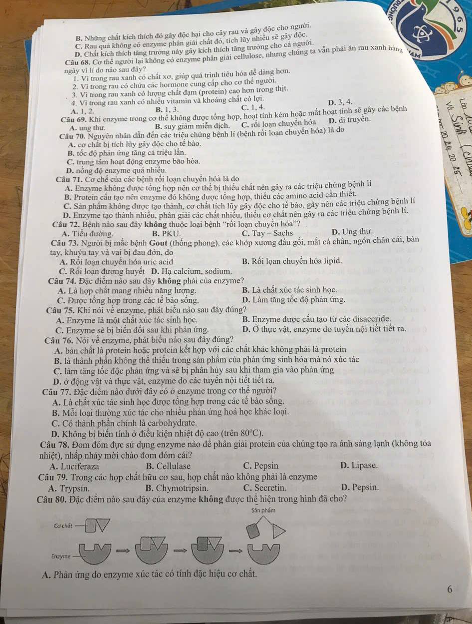 B. Những chất kích thích đó gây độc hại cho cây rau và gây độc cho người.
C. Rau qua không có enzyme phân giải chất đó, tích lũy nhiều sẽ gây độc.
D. Chất kích thích tăng trưởng này gãy kích thích tăng trưởng cho cá người.
Câu 68. Cơ thể người lại không có enzyme phân giải cellulose, nhưng chúng ta vẫn phải ăn rau xanh hàng am
ngày vì lí do nào sau đây?
T. Vì trong rau xanh có chất xơ, giúp quá trình tiêu hóa dễ dàng hơn.
2. Vi trong rau có chứa các hormone cung cấp cho cơ thể người.
3. Vi trong rau xanh có lượng chất đạm (protein) cao hơn trong thịt.
4. Vì trong rau xanh có nhiều vitamin và khoáng chất có lợi.
A. 1, 2. B. 1, 3. C. 1, 4. D. 3, 4.
Câu 69. Khi enzyme trong cơ thể không được tổng hợp, hoạt tính kém hoặc mất hoạt tính sẽ gây các bệnh
A. ung thư. B. suy giảm miễn dịch. C. rối loạn chuyển hóa D. di truyền.
Câu 70. Nguyên nhân dẫn đến các triệu chứng bệnh lí (bệnh rối loạn chuyển hóa) là do
A. cơ chất bị tích lũy gây độc cho tể bào.
B. tốc độ phản ứng tăng cả triệu lần.
C. trung tâm hoạt động enzyme bão hòa.
D. nồng độ enzyme quá nhiều.
 
Câu 71. Cơ chế của các bệnh rối loạn chuyền hóa là do
A. Enzyme không được tổng hợp nên cơ thể bị thiếu chất nên gây ra các triệu chứng bệnh lí
B. Protein cầu tạo nên enzyme đó không được tổng hợp, thiếu các amino acid cần thiết.
C. Sản phẩm không được tạo thành, cơ chất tích lũy gây độc cho tế bào, gây nên các triệu chứng bệnh lí
D. Enzyme tạo thành nhiều, phân giải các chất nhiễu, thiếu cơ chất nên gây ra các triệu chứng bệnh lí.
Câu 72. Bệnh nào sau đây không thuộc loại bệnh “rối loạn chuyển hóa”?
A. Tiểu đường. B. PKU. C. Tay - Sachs D. Ung thư.
Câu 73. Người bị mắc bệnh Gout (thống phong), các khớp xương đầu gối, mắt cá chân, ngón chân cái, bàn
tay, khuỷu tay và vai bị đau đớn, do
A. Rồi loạn chuyên hóa uric acid B. Rối lọan chuyển hóa lipid.
C. Rối loạn đương huyết D. Hạ calcium, sodium.
Câu 74. Đặc điểm nào sau đây không phải của enzyme?
A. Là hợp chất mang nhiều năng lượng. B. Là chất xúc tác sinh học.
C. Được tông hợp trong các tê bào sông. D. Làm tăng tốc độ phản ứng.
Câu 75. Khi nói về enzyme, phát biểu nào sau đây đúng?
A. Enzyme là một chất xúc tác sinh học. B. Enzyme được cấu tạo từ các disaccride.
C. Enzyme sẽ bị biến đồi sau khi phản ứng. D. Ở thực vật, enzyme do tuyến nội tiết tiết ra.
Câu 76. Nói về enzyme, phát biểu nào sau đây đúng?
A. bản chất là protein hoặc protein kết hợp với các chất khác không phải là protein
B. là thành phần không thể thiếu trong sản phẩm của phản ứng sinh hóa mà nó xúc tác
C. làm tăng tốc độc phản ứng và sẽ bị phân hủy sau khi tham gia vào phản ứng
D. ở động vật và thực vật, enzyme do các tuyến nội tiết tiết ra.
Câu 77. Đặc điểm nào dưới đây có ở enzyme trong cơ thể người?
A. Là chất xúc tác sinh học được tổng hợp trong các tế bào sống.
B. Mỗi loại thường xúc tác cho nhiều phản ứng hoá học khác loại.
C. Có thành phần chính là carbohydrate.
D. Không bị biến tính ở điều kiện nhiệt độ cao (trên 80°C).
Câu 78. Đom đóm đực sử dụng enzyme nào để phân giải protein của chúng tạo ra ánh sáng lạnh (không tỏa
nhiệt), nhấp nháy mời chào đom đóm cái?
A. Luciferaza B. Cellulase C. Pepsin D. Lipase.
Câu 79. Trong các hợp chất hữu cơ sau, hợp chất nào không phải là enzyme
A. Trypsin. B. Chymotripsin. C. Secretin. D. Pepsin.
Câu 80. Đặc điểm nào sau đây của enzyme không được thể hiện trong hình đã cho?
A. Phân ứng do enzyme xúc tác có tính đặc hiệu cơ chất.
6