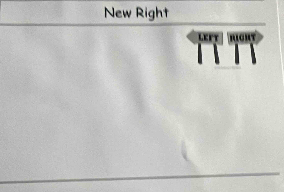 New Right 
LEFt a