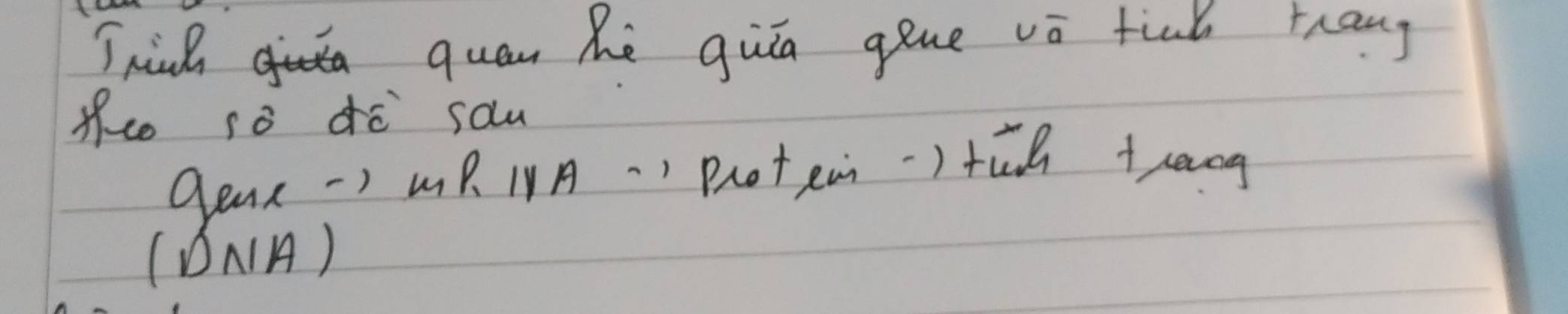 Thinh quan hè quā gine vā tiak rang 
ofco so dē sou 
Qens-) MR I1A) Proteni-) tāh rang 
(DNA)