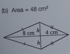 Area =48cm^2