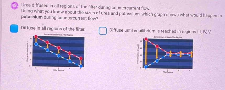 Solved: Urea diffused in all regions of the filter during ...
