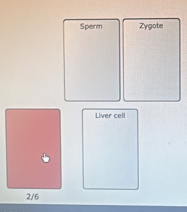 Sperm Zygote 
Liver cell
2/6