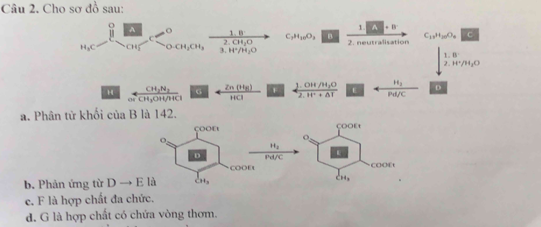 Cho sơ đồ sau: 
prodlimits _H_3C^0prodlimits _CH_2^O _O· CH_2CH_3^1.8vector 2.H^+/H_3· H^+/H_2O C_7H_10O_3 frac 1.4+8 C_13H_20O_6overline C

2. neutralisation
∈t _V^((1.8 2.H^+)/H_2)O
H frac CH_3N_2CH_3OH/HCl a F frac 1.0H/H_2O2.H^++△ T □ rightarrow □  □  □  □  □  frac H_2Pd/C D 
or
x=
a. Phân tử khối của B là 142. 
COOEt 
COOEt 
o.
H_2
D Pd/C
COOEt CooÉt 
b. Phản ứng từ Dto E là _CH_3^1 CH_3
c. F là hợp chất đa chức. 
d. G là hợp chất có chứa vòng thơm.