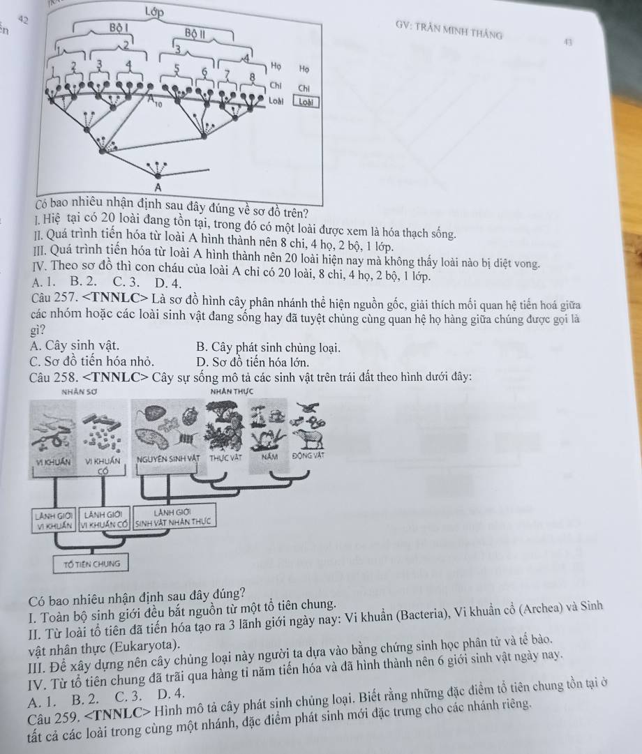 Lớp
n 
GV: TRẬN MINH THắNG 43
ng tồn tại, trong đó có một loài được xem là hóa thạch sống.
I. Quá trình tiến hóa từ loài A hình thành nên 8 chi, 4 họ, 2 bộ, 1 lớp.
III. Quá trình tiến hóa từ loài A hình thành nên 20 loài hiện nay mà không thấy loài nào bị diệt vong.
[V. Theo sơ đồ thì con cháu của loài A chỉ có 20 loài, 8 chi, 4 họ, 2 bộ, 1 lớp.
A. 1. B. 2. C. 3. D. 4.
Câu 257. Là sơ đồ hình cây phân nhánh thể hiện nguồn gốc, giải thích mối quan hệ tiến hoá giữa
các nhóm hoặc các loài sinh vật đang sống hay đã tuyệt chủng cùng quan hệ họ hàng giữa chúng được gọi là
gì?
A. Cây sinh vật. B. Cây phát sinh chủng loại.
C. Sơ đồ tiến hóa nhỏ. D. Sơ đồ tiến hóa lớn.
Câu 258. Cây sự sống mô tả các sinh vật trên trái đất theo hình dưới đây:
n 
Có bao nhiêu nhận định sau đây đúng?
I. Toàn bộ sinh giới đều bắt nguồn từ một tổ tiên chung.
II. Từ loài tổ tiên đã tiến hóa tạo ra 3 lãnh giới ngày nay: Vi khuẩn (Bacteria), Vi khuẩn cổ (Archea) và Sinh
vật nhân thực (Eukaryota).
III. Để xây dựng nên cây chủng loại này người ta dựa vào bằng chứng sinh học phân tử và tế bào.
IV. Từ tổ tiên chung đã trãi qua hàng tỉ năm tiến hóa và đã hình thành nên 6 giới sinh vật ngày nay.
A. 1. B. 2. C. 3. D. 4.
Câu 259. ∠ TNNLC> Hình mô tả cây phát sinh chủng loại. Biết rằng những đặc điểm tổ tiên chung tồn tại ở
tất cả các loài trong cùng một nhánh, đặc điểm phát sinh mới đặc trưng cho các nhánh riêng.