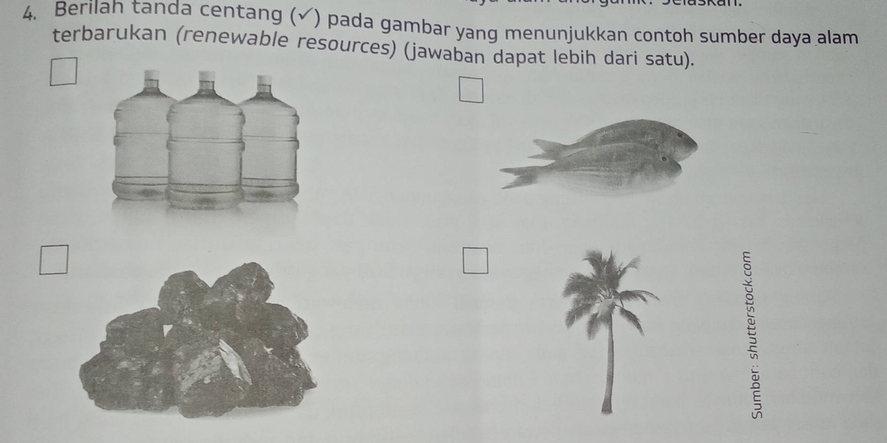 Berilah tanda centang (√) pada gambar yang menunjukkan contoh sumber daya alam 
terbarukan (renewable resources) (jawaban dapat lebih dari satu).