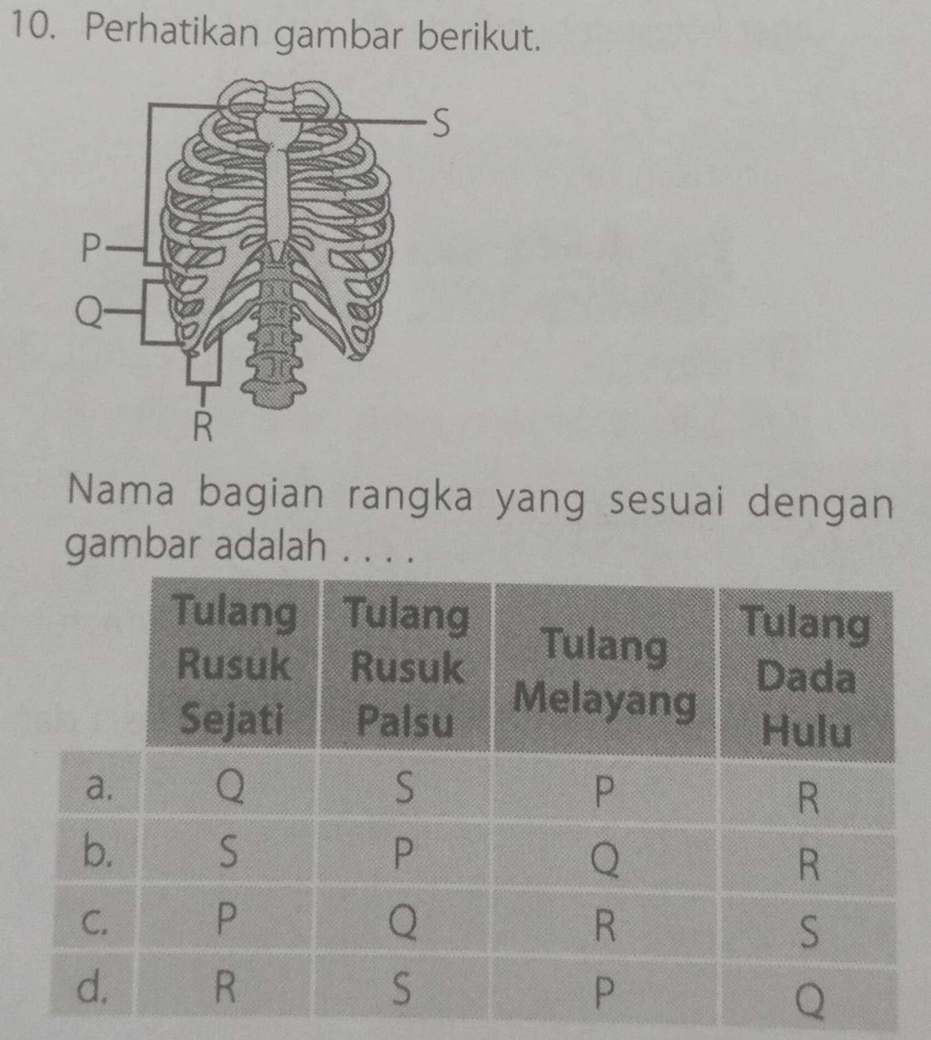 Perhatikan gambar berikut. 
Nama bagian rangka yang sesuai dengan 
gambar adalah ....