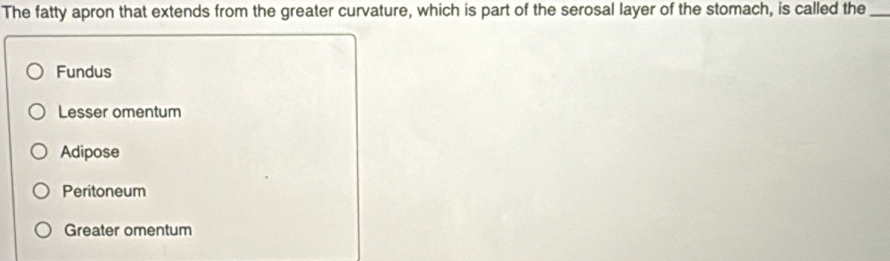 The fatty apron that extends from the greater curvature, which is part of the serosal layer of the stomach, is called the_
Fundus
Lesser omentum
Adipose
Peritoneum
Greater omentum