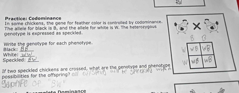 Practice: Codominance 
In some chickens, the gene for feather color is controlled by codominance. x
The allele for black is B, and the allele for white is W. The heterozygous 
genotype is expressed as speckled. 
Write the genotype for each phenotype. 
Black:_ 
White:_ 
Speckled:_ 
If two speckled chickens are crossed, what are the genotype and phenotype 
possibilities for the offspring? 
Dominance