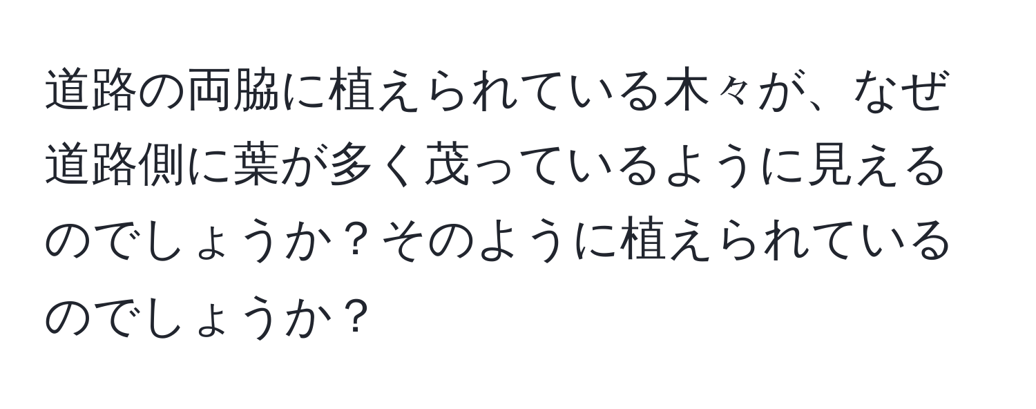 道路の両脇に植えられている木々が、なぜ道路側に葉が多く茂っているように見えるのでしょうか？そのように植えられているのでしょうか？