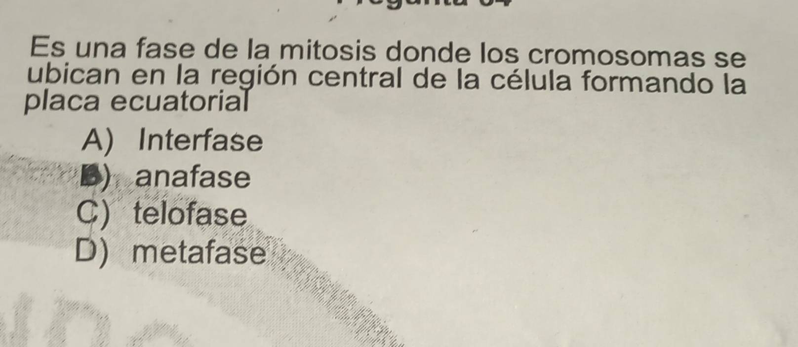 Es una fase de la mitosis donde los cromosomas se
ubican en la región central de la célula formando la
placa ecuatorial
A) Interfase
B)anafase
C) telofase
D) metafase