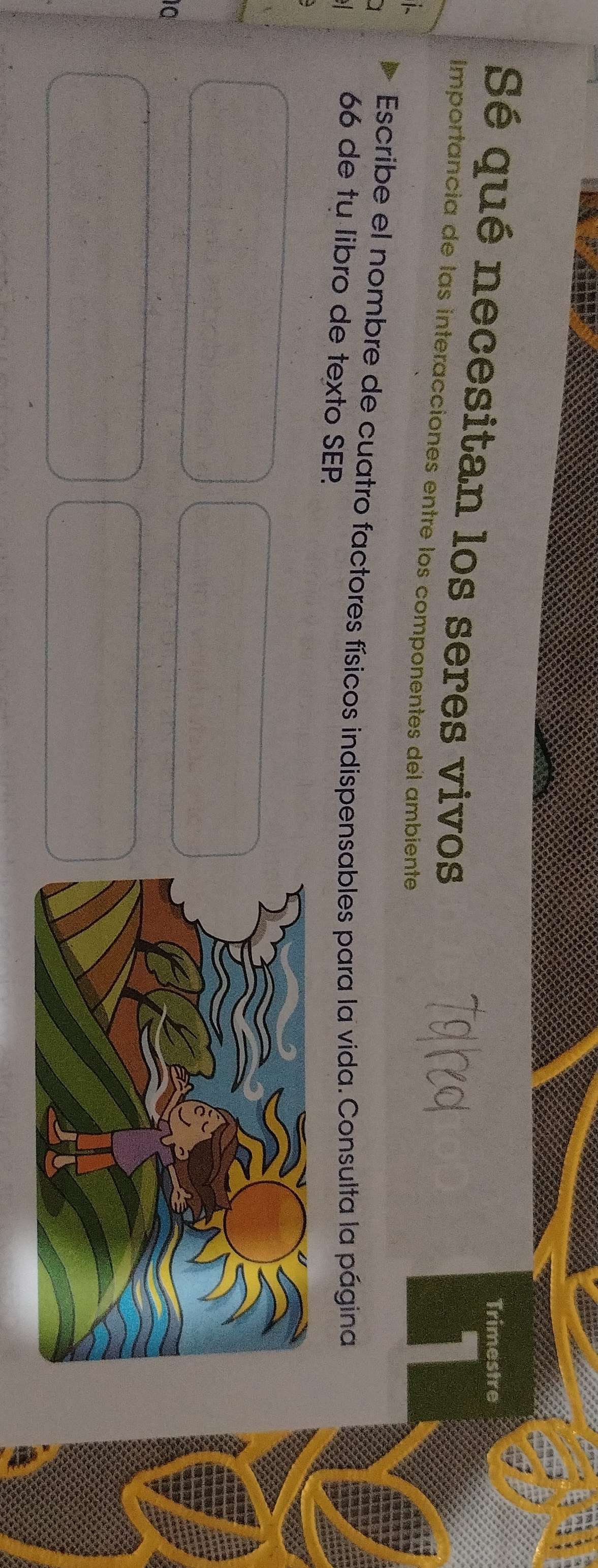 Trimestre 
Sé qué necesitan los seres vivos 
Importancia de las interacciones entre los componentes del ambiente 
I 
Escribe el nombre de cuatro factores físicos indispensables para la vida. Consulta la página 
66 de tu libro de texto SEP 
10