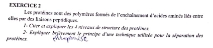 Les protéines sont des polymères formés de l'enchaînement d'acides aminés liés entre 
elles par des liaisons peptidiques. 
I- Citer et expliquer les 4 niveaux de structure des protéines. 
2- Expliquer brièvement le principe d'une technique utilisée pour la séparation des 
protéines.