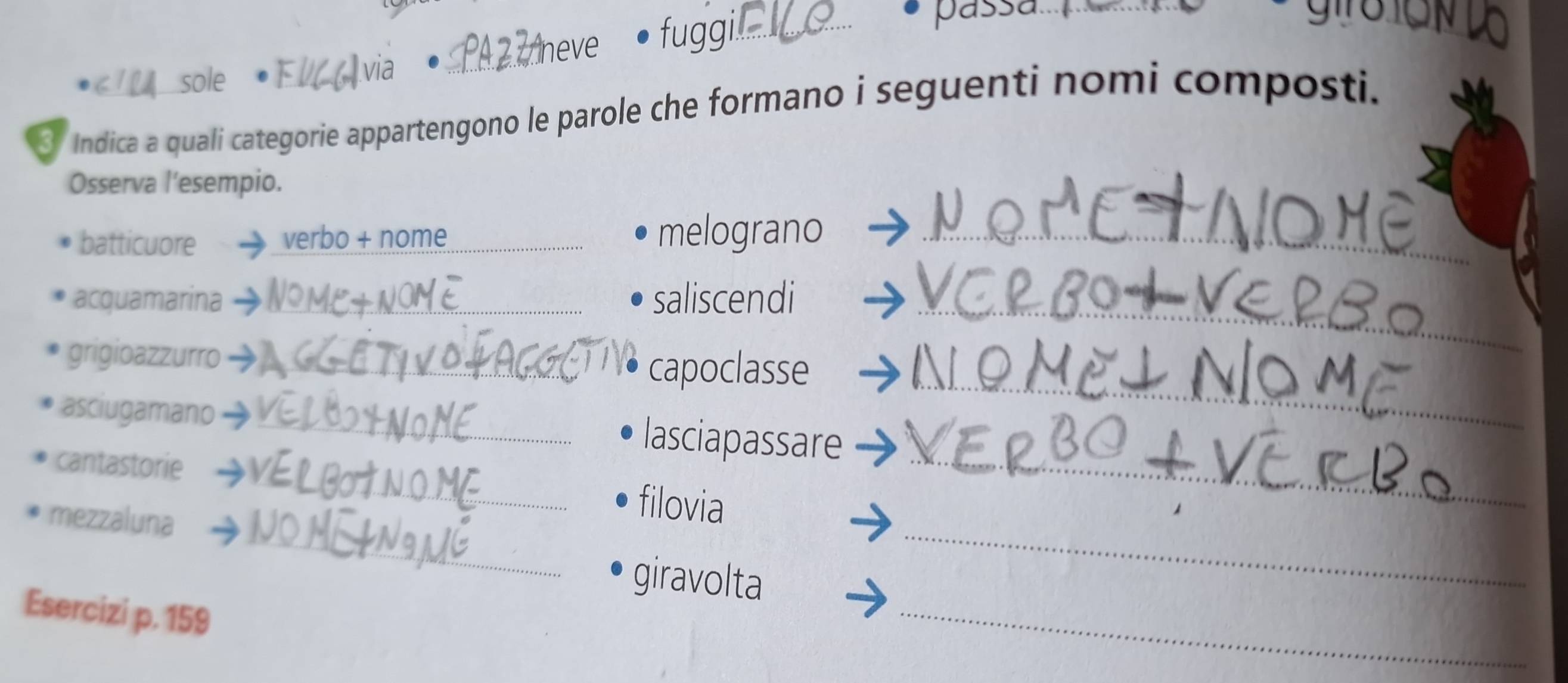 neve fuggi 
_ 
_ 
_ 
sole 
via 
Indica a quali categorie appartengono le parole che formano i seguenti nomi composti. 
Osserva l’esempio. 
batticuore verbo + nome _melograno_ 
acquamarina _saliscendi_ 
grigioazzurro_ 
capoclasse_ 
_ 
asciugamano _lasciapassare 
cantastorie 
_ 
mezzaluna 
_ 
_ 
filovia 
_ 
giravolta 
Esercizi p. 159