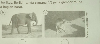 berikut. Berilah tanda centang (✓) pada gambar fauna 
a bagian barat.