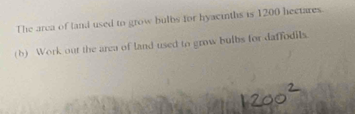The arca of land used to grow bulbs for hyacinths is 1200 hectares. 
(b) Work out the area of land used to grow bulbs for daffodils.