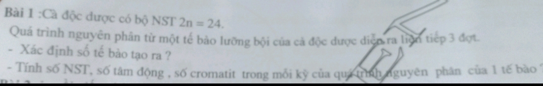 Cà độc được có bộ NST 2n=24. 
Quá trình nguyên phân từ một tế bảo lưỡng bội của cả độc được diễn ra liện tiếp 3 đợt. 
- Xác định số tế bào tạo ra ? 
- Tính số NST, số tâm động , số cromatit trong mỗi kỳ của quá trình nguyên phân của 1 tế bào 1