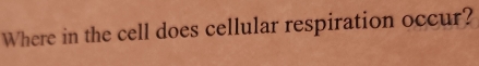 Where in the cell does cellular respiration occur?