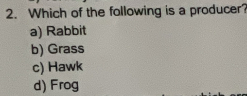 Which of the following is a producer?
a) Rabbit
b) Grass
c) Hawk
d) Frog
