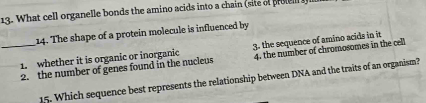 What cell organelle bonds the amino acids into a chain (site of proe y
14. The shape of a protein molecule is influenced by
_1. whether it is organic or inorganic 3. the sequence of amino acids in it
2. the number of genes found in the nucleus 4. the number of chromosomes in the cell
15. Which sequence best represents the relationship between DNA and the traits of an organism?