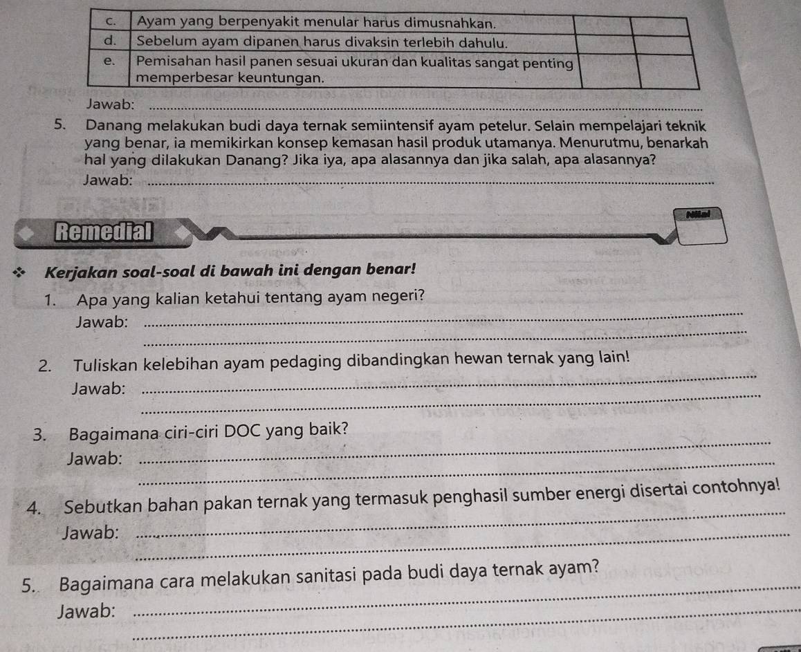 Jawab:_ 
5. Danang melakukan budi daya ternak semiintensif ayam petelur. Selain mempelajari teknik 
yang benar, ia memikirkan konsep kemasan hasil produk utamanya. Menurutmu, benarkah 
hal yang dilakukan Danang? Jika iya, apa alasannya dan jika salah, apa alasannya? 
Jawab:_ 
Remedial 
Kerjakan soal-soal di bawah ini dengan benar! 
1. Apa yang kalian ketahui tentang ayam negeri? 
_ 
Jawab: 
_ 
2. Tuliskan kelebihan ayam pedaging dibandingkan hewan ternak yang lain! 
Jawab:_ 
_ 
3. Bagaimana ciri-ciri DOC yang baik? 
Jawab:_ 
_ 
_ 
4. Sebutkan bahan pakan ternak yang termasuk penghasil sumber energi disertai contohnya! 
Jawab:_ 
_ 
5. Bagaimana cara melakukan sanitasi pada budi daya ternak ayam? 
Jawab:_