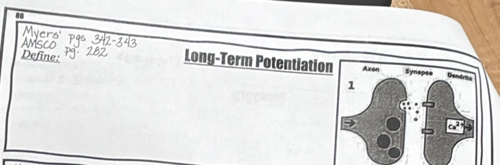 Define: 
g-Term Potentiati