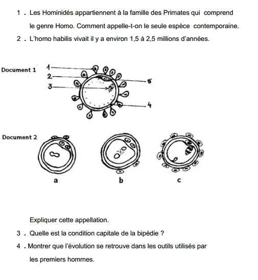 1 . Les Hominidés appartiennent à la famille des Primates qui comprend 
le genre Homo. Comment appelle-t-on le seule espèce contemporaine. 
2 . L'homo habilis vivait il y a environ 1,5 à 2,5 millions d'années. 
Document 1 
Document 
a 
b C 
Expliquer cette appellation. 
3 . Quelle est la condition capitale de la bipédie ? 
4 . Montrer que l'évolution se retrouve dans les outils utilisés par 
les premiers hommes.