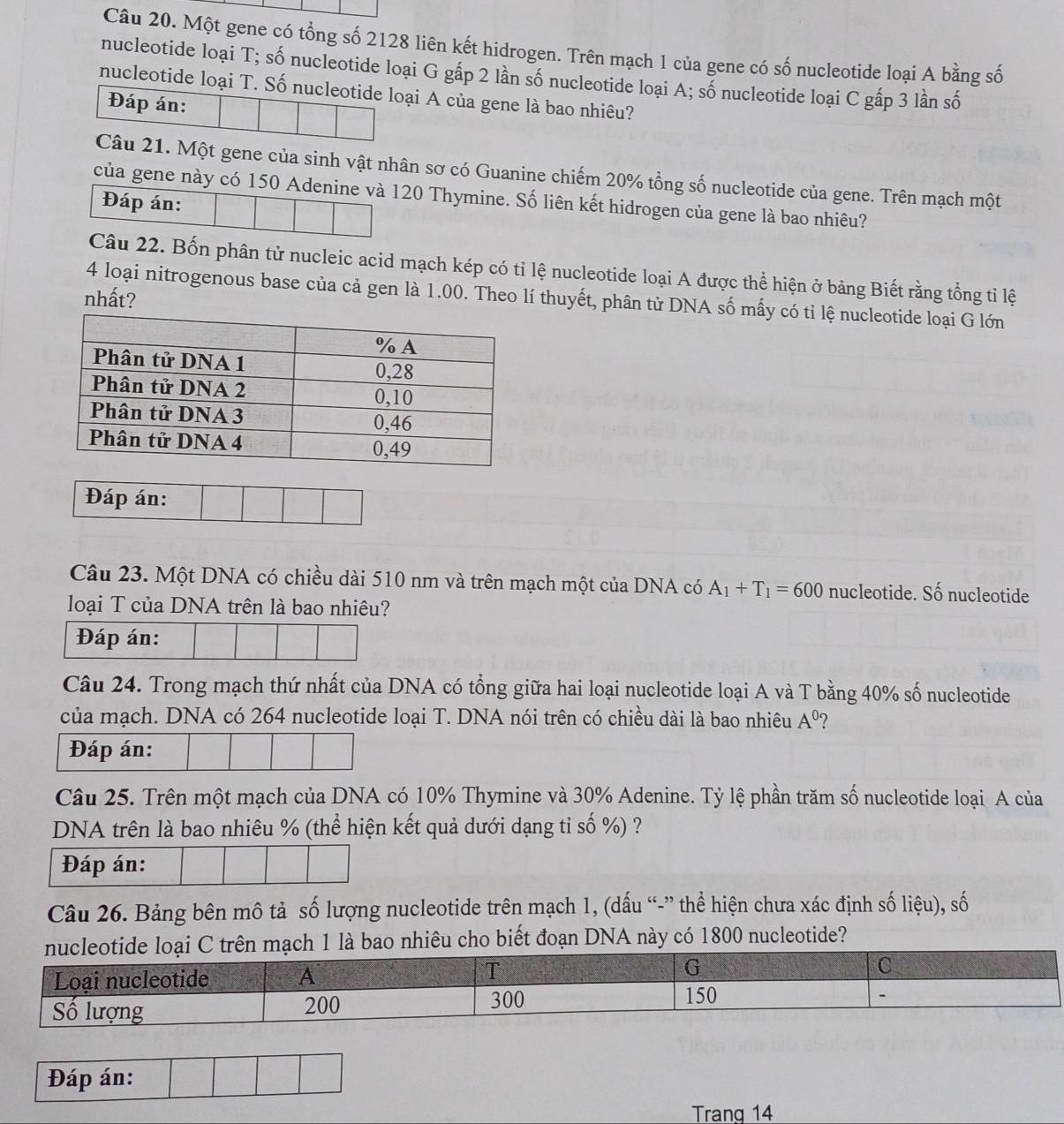 Một gene có tổng số 2128 liên kết hidrogen. Trên mạch 1 của gene có số nucleotide loại A bằng số
nucleotide loại T; số nucleotide loại G gấp 2 lần số nucleotide loại A; số nucleotide loại C gấp 3 lần số
nucleotide loại T. Số nucleotide loại A của gene là bao nhiêu?
Đáp án:
Câu 21. Một gene của sinh vật nhân sơ có Guanine chiếm 20% tổng số nucleotide của gene. Trên mạch một
của gene này có 150 Adenine và 120 Thymine. Số liên kết hidrogen của gene là bao nhiêu?
Đáp án:
Câu 22. Bốn phân tử nucleic acid mạch kép có tỉ lệ nucleotide loại A được thể hiện ở bảng Biết rằng tổng tỉ lệ
nhất?
4 loại nitrogenous base của cả gen là 1.00. Theo lí thuyết, phân tử DNA số mấy có tỉ lệ nucleotide loại G lớn
Đáp án:
Câu 23. Một DNA có chiều dài 510 nm và trên mạch một của DNA có A_1+T_1=600 nucleotide. Số nucleotide
loại T của DNA trên là bao nhiêu?
Đáp án:
Câu 24. Trong mạch thứ nhất của DNA có tổng giữa hai loại nucleotide loại A và T bằng 40% số nucleotide
của mạch. DNA có 264 nucleotide loại T. DNA nói trên có chiều dài là bao nhiêu A^0 ?
Đáp án:
Câu 25. Trên một mạch của DNA có 10% Thymine và 30% Adenine. Tỷ lệ phần trăm số nucleotide loại A của
DNA trên là bao nhiêu % (thể hiện kết quả dưới dạng tỉ số %) ?
Đáp án:
Câu 26. Bảng bên mô tả số lượng nucleotide trên mạch 1, (dấu “-” thể hiện chưa xác định số liệu), số
1 là bao nhiêu cho biết đoạn DNA này có 1800 nucleotide?
Đáp án:
Trang 14