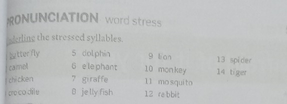 RONUNCIATION word stress 
aderling the stressed syllables. 
butter fly 5 dolphin 9 lian 13 spider 
camel 6 e le phant 10 mon key 14 ti ger 
chi cken 7 giraffe 11 mo squi to 
cro co dile B je lly fish 12 rabbit