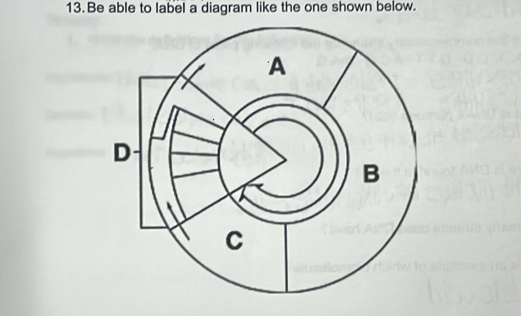 Be able to label a diagram like the one shown below.