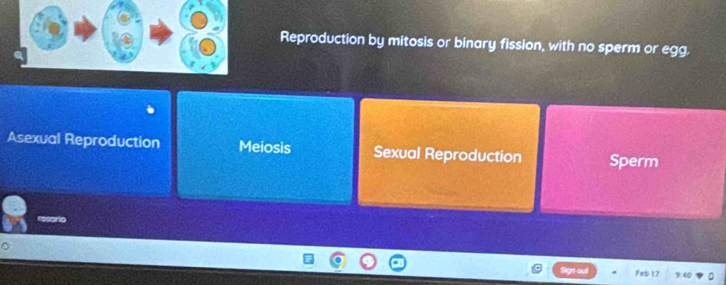 Reproduction by mitosis or binary fission, with no sperm or egg,
Asexual Reproduction Meiosis Sexual Reproduction Sperm
Sgn aut Feb 12