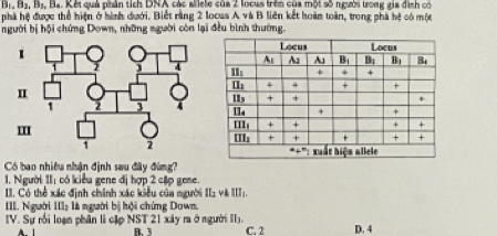 Bị Bạ, Bị, Ba. Kết quả phân tích DNA các allele của 2 locus trên của một số người trong gia đình có
phá hệ được thể hiện ở hình dưới. Biết rằng 2 Iocus A và B liên kết hoàm toàn, trong phá hệ có một
người bị hội chứng Down, những sgười còn lại đều bình thường.
Có bao nhiều nhận định sau đây đùng?
1. Người II: có iểu gene đị hợp 2 cập gene
II. Có thể xác định chính xác kiểu của người 11: và :
III. Người III là người bị hội chứng Down.
IV. Sự rối loạn phân li cặp NST 21 xây ra ở người I. C. 2 D. 4
B. 3