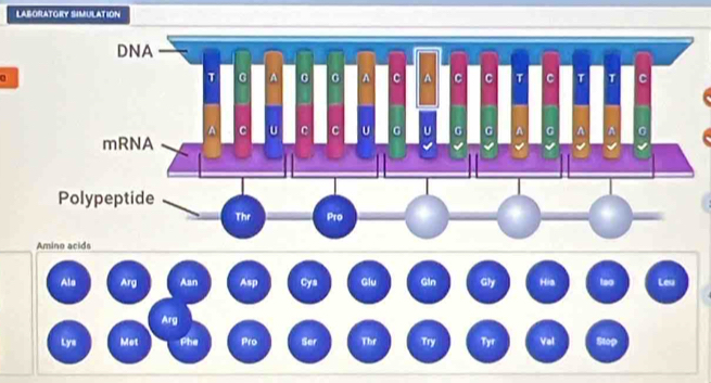 LABORATORY SIMULATION 
a