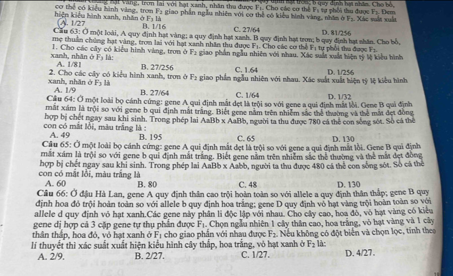 hững hạt văng, tron lai với hạt xanh, nhăn thu được F_1 quy dịnh hạt tron; b quy định hạt nhăn. Cho bộ,
. Cho các cơ thể F_1 tự phối thu được F_2
cơ thể có kiều hình vàng, trơn F_2 giao phần ngẫu nhiên với cơ thể có kiều hình vàng, nhăn ở F_2.. Đern
hiện kiểu hình xanh, nhăn ở F_3la Xác suất xuất
(A. 1/27 B. 1/16 C. 27/64 D. 81/256
Cầu 63: Ở một loài, A quy định hạt vàng; a quy định hạt xanh. B quy định hạt trơn; b quy định hạt nhãn. Cho bố,
mẹ thuần chủng hạt vàng, trơn lai với hạt xanh nhăn thu được F_1. Cho các cơ thể F_1 tự phối thu được F_2.
1. Cho các cây có kiều hình vàng, trơn ở F_2 giao phần ngẫu nhiên với nhau. Xác suất xuất hiện tỷ lệ kiểu hình
xanh, nhăn ở F_3 là:
A. 1/81 B. 27/256 C. 1.64 D. 1/256
2. Cho các cây có kiều hình xanh, trơn ở F_2 giao phần ngẫu nhiên với nhau. Xác suất xuất hiện tỷ lệ kiểu hình
xanh, nhăn ở F_3 là
A. 1/9 B. 27/64 C. 1/64 D. 1/32
Câu 64: Ở một loài bọ cánh cứng: gene A qui định mắt dẹt là trội so với gene a qui định mắt lồi. Gene B qui định
mắt xám là trội so với gene b qui định mắt trăng. Biết gene năm trên nhiễm sắc thể thường và thể mắt dẹt đồng
hợp bị chết ngay sau khi sinh. Trong phép lai AaBb x AaBb, người ta thu được 780 cá thể con sống sót. Số cá thêể
con có mắt lồi, màu trắng là :
A. 49 B. 195 C. 65 D. 130
Câu 65: Ở một loài bọ cánh cứng: gene A qui định mắt dẹt là trội so với gene a qui định mắt lồi. Gene B qui định
mắt xám là trội so với gene b qui định mắt trắng. Biết gene nằm trên nhiễm sắc thể thường và thể mắt dẹt đồng
hợp bị chết ngay sau khi sinh. Trong phép lai AaBb x Aabb, người ta thu được 480 cá thể con sống sót. Số cá thể
con có mắt lồi, màu trắng là
A. 60 B. 80 C. 48 D. 130
Câu 66: Ở đậu Hà Lan, gene A quy định thân cao trội hoàn toàn so với allele a quy định thân thắp; gene B quy
định hoa đỏ trội hoàn toàn so với allele b quy định hoa trắng; gene D quy định vỏ hạt vàng trội hoàn toàn so với
allele d quy định vỏ hạt xanh.Các gene này phần li độc lập với nhau. Cho cây cao, hoa đỏ, vỏ hạt vàng có kiều
gene dị hợp cả 3 cặp gene tự thụ phần được F_1 1. Chọn ngẫu nhiên 1 cây thân cao, hoa trắng, vỏ hạt vàng và 1 cây
thân thấp, hoa đỏ, vỏ hạt xanh ở F_1 cho giao phần với nhau được F_2. Nếu không có đột biến và chọn lọc, tính theo
lí thuyết thì xác suất xuất hiện kiểu hình cây thấp, hoa trắng, vỏ hạt xanh ở F_2 là:
A. 2/9. B. 2/27. C. 1/27. D. 4/27.
10