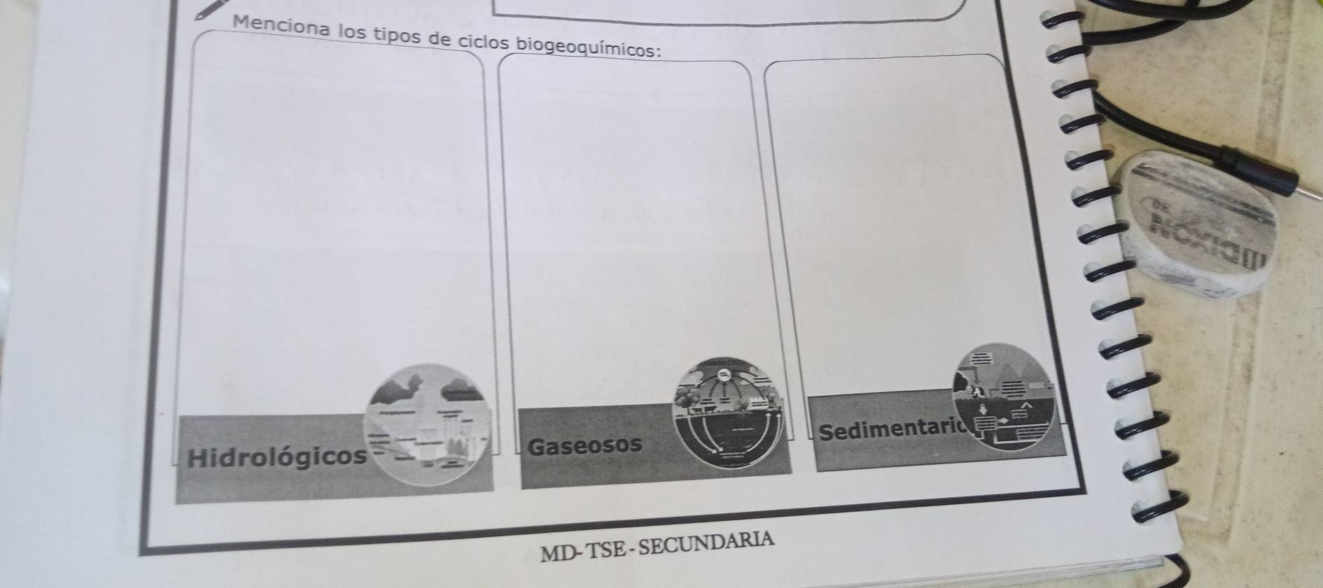 Menciona los tipos de ciclos biogeoquímicos:
Hidrológicos Gaseosos Sedimentaric
MD- TSE - SECUNDARIA